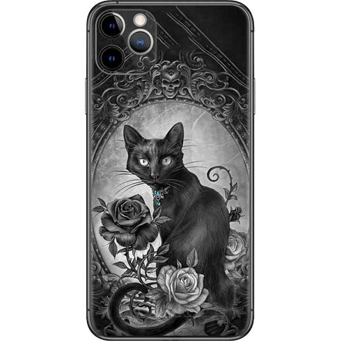 Alchemy Paracelsus - The Philosophers Familiar iPhone 11 Pro Max Skin