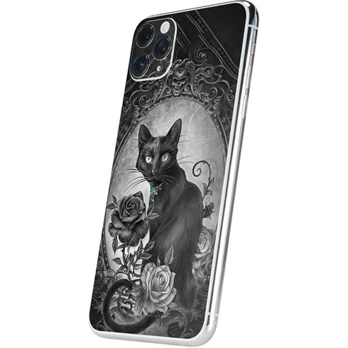 Alchemy Paracelsus - The Philosophers Familiar iPhone 11 Pro Max Skin