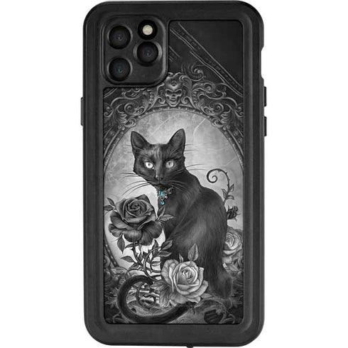 Alchemy Paracelsus - The Philosophers Familiar iPhone 11 Pro Max Waterproof Case