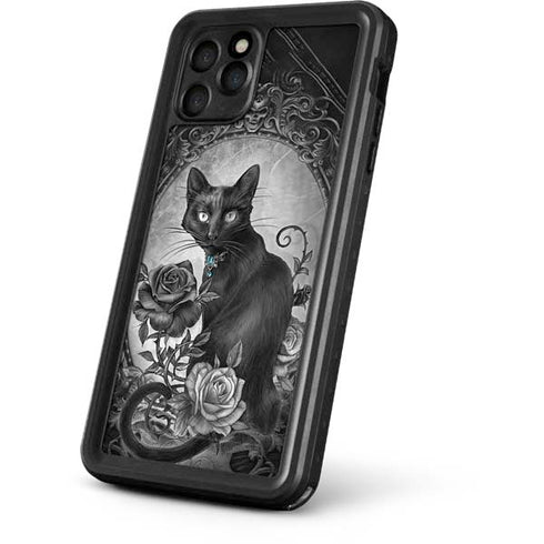 Alchemy Paracelsus - The Philosophers Familiar iPhone 11 Pro Max Waterproof Case