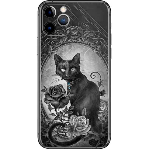 Alchemy Paracelsus - The Philosophers Familiar iPhone 11 Pro Skin
