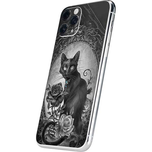 Alchemy Paracelsus - The Philosophers Familiar iPhone 11 Pro Skin