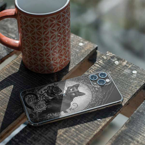 Alchemy Paracelsus - The Philosophers Familiar iPhone 11 Pro Skin