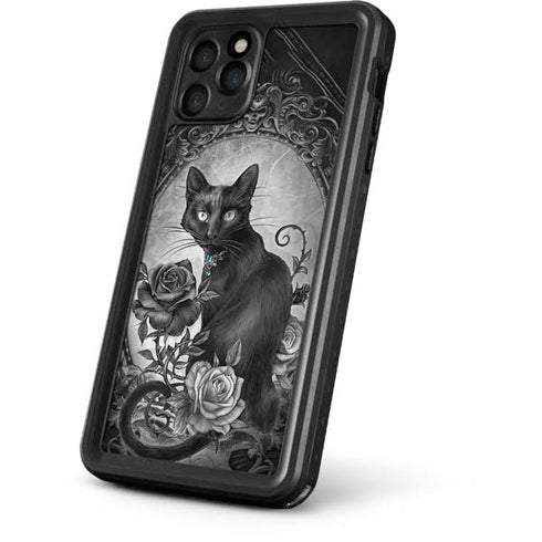 Alchemy Paracelsus - The Philosophers Familiar iPhone 11 Pro Waterproof Case