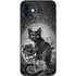 Alchemy Paracelsus - The Philosophers Familiar iPhone 12 Mini Skin