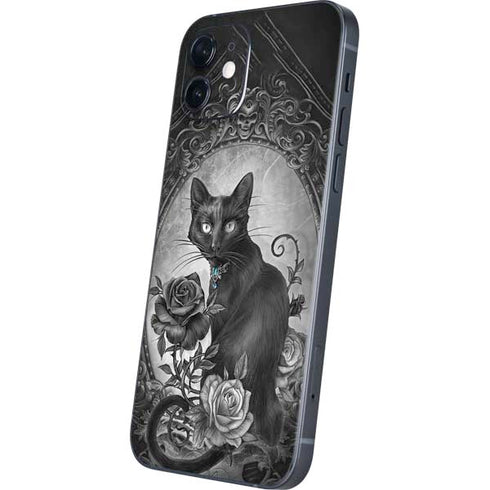 Alchemy Paracelsus - The Philosophers Familiar iPhone 12 Mini Skin