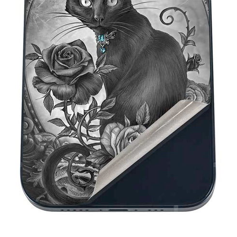 Alchemy Paracelsus - The Philosophers Familiar iPhone 12 Mini Skin
