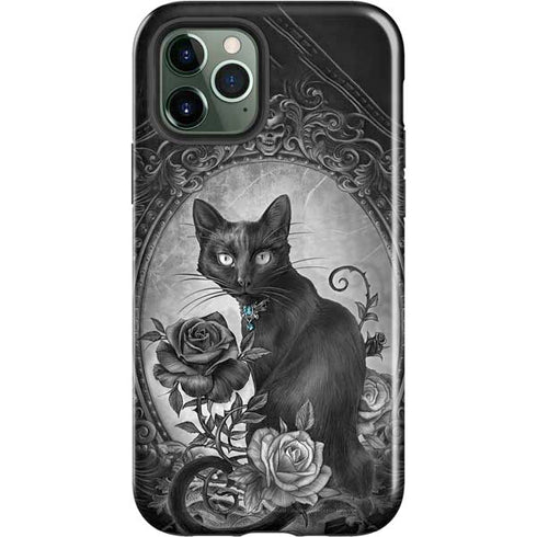 Alchemy Paracelsus - The Philosophers Familiar iPhone 12 Pro Impact Case
