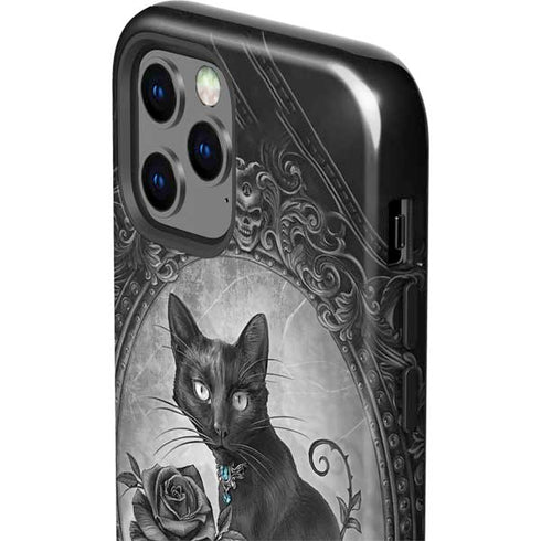 Alchemy Paracelsus - The Philosophers Familiar iPhone 12 Pro Max Impact Case