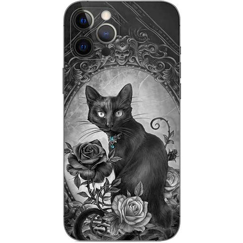 Alchemy Paracelsus - The Philosophers Familiar iPhone 12 Pro Max Skin