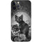 Alchemy Paracelsus - The Philosophers Familiar iPhone 12 Pro Max Skin