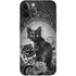 Alchemy Paracelsus - The Philosophers Familiar iPhone 12 Pro Max Skin