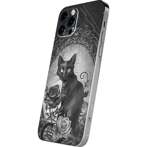 Alchemy Paracelsus - The Philosophers Familiar iPhone 12 Pro Max Skin