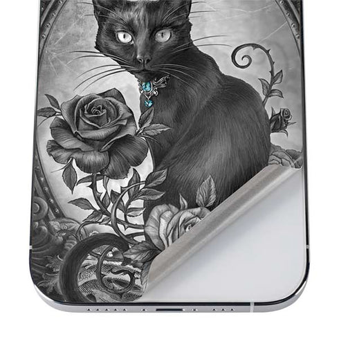 Alchemy Paracelsus - The Philosophers Familiar iPhone 12 Pro Max Skin
