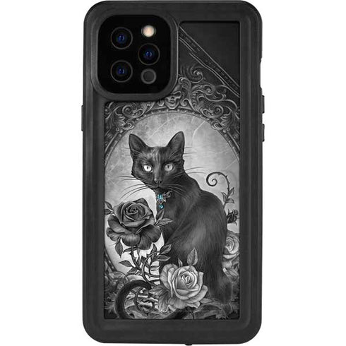 Alchemy Paracelsus - The Philosophers Familiar iPhone 12 Pro Max Waterproof Case