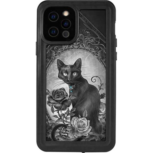 Alchemy Paracelsus - The Philosophers Familiar iPhone 12 Pro Waterproof Case
