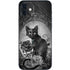 Alchemy Paracelsus - The Philosophers Familiar iPhone 12 Skin