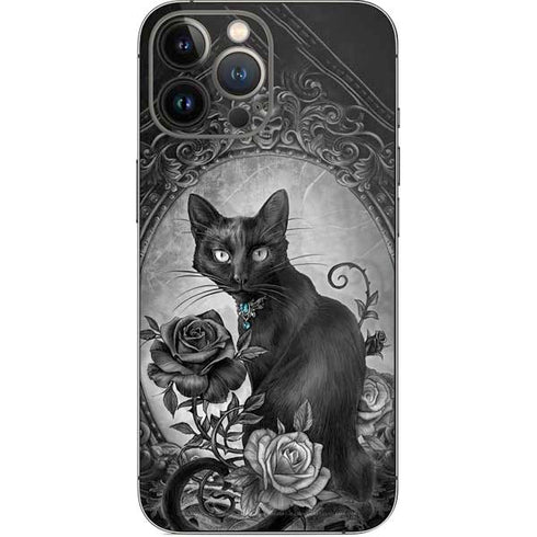 Alchemy Paracelsus - The Philosophers Familiar iPhone 13 Pro Max Skin