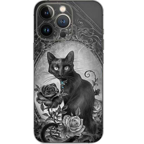 Alchemy Paracelsus - The Philosophers Familiar iPhone 13 Pro Skin