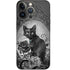 Alchemy Paracelsus - The Philosophers Familiar iPhone 13 Pro Skin