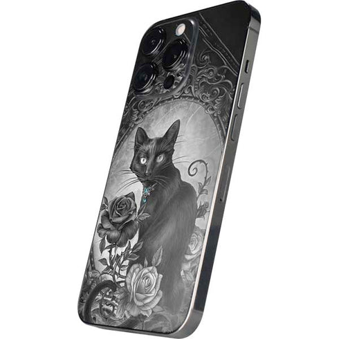 Alchemy Paracelsus - The Philosophers Familiar iPhone 13 Pro Skin