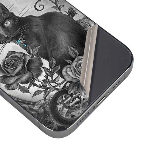 Alchemy Paracelsus - The Philosophers Familiar iPhone 13 Pro Skin