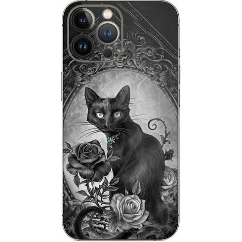 Alchemy Paracelsus - The Philosophers Familiar iPhone 14 Pro Max Skin