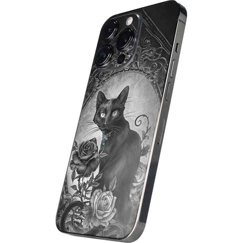 Alchemy Paracelsus - The Philosophers Familiar iPhone 14 Pro Max Skin