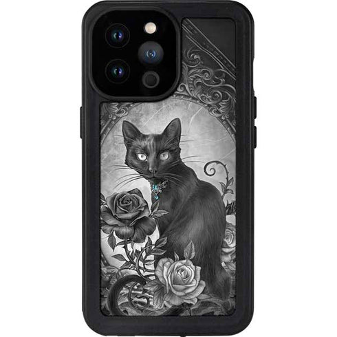 Alchemy Paracelsus - The Philosophers Familiar iPhone 14 Pro Max Waterproof Case