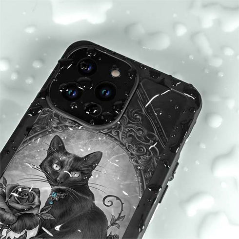 Alchemy Paracelsus - The Philosophers Familiar iPhone 14 Pro Max Waterproof Case