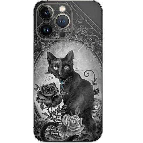 Alchemy Paracelsus - The Philosophers Familiar iPhone 14 Pro Skin