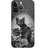 Alchemy Paracelsus - The Philosophers Familiar iPhone 14 Pro Skin