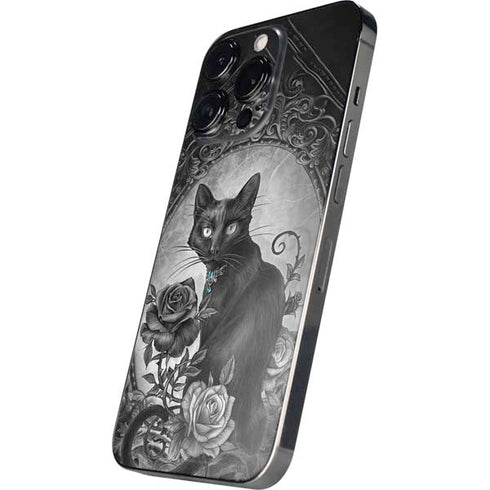 Alchemy Paracelsus - The Philosophers Familiar iPhone 14 Pro Skin