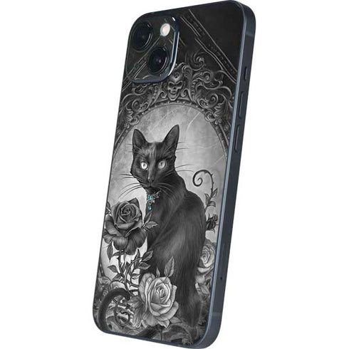 Alchemy Paracelsus - The Philosophers Familiar iPhone 14 Skin