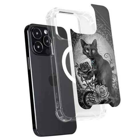Alchemy Paracelsus - The Philosophers Familiar iPhone 15 Pro MagSafe Case