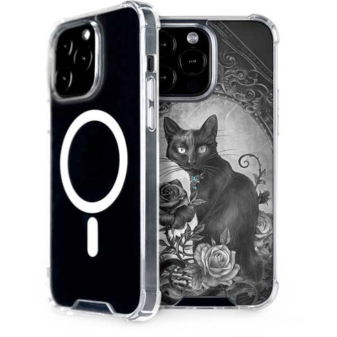 Alchemy Paracelsus - The Philosophers Familiar iPhone 15 Pro Max MagSafe Case