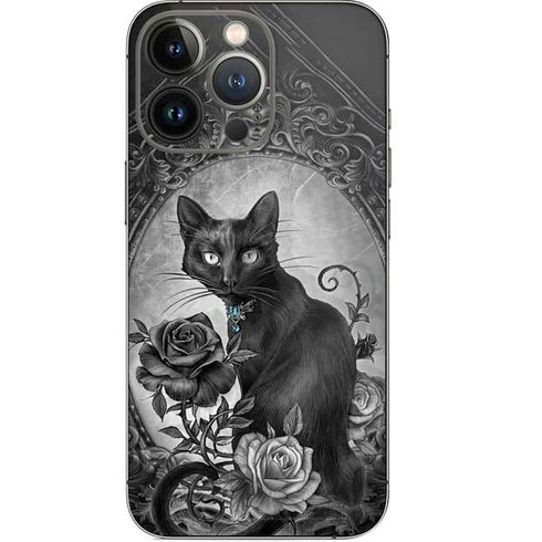 Alchemy Paracelsus - The Philosophers Familiar iPhone 15 Pro Skin