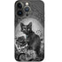 Alchemy Paracelsus - The Philosophers Familiar iPhone 15 Pro Skin