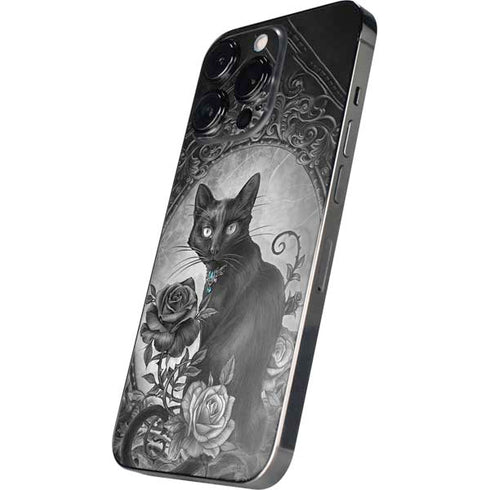 Alchemy Paracelsus - The Philosophers Familiar iPhone 15 Pro Skin