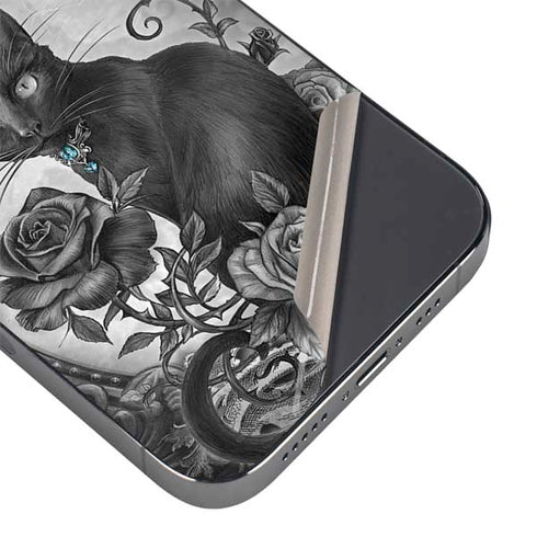 Alchemy Paracelsus - The Philosophers Familiar iPhone 15 Pro Skin
