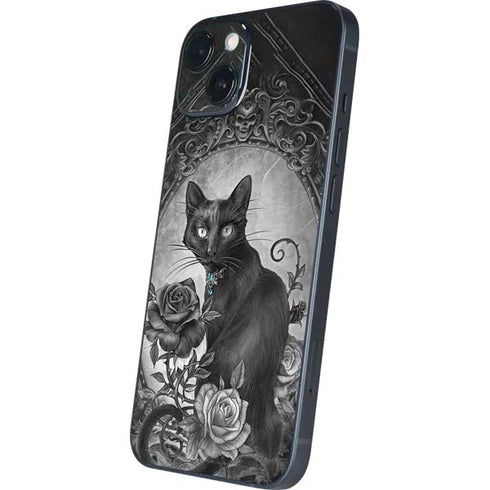 Alchemy Paracelsus - The Philosophers Familiar iPhone 15 Skin