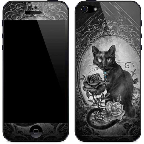 Alchemy Paracelsus - The Philosophers Familiar iPhone 5/5s/5SE Skin