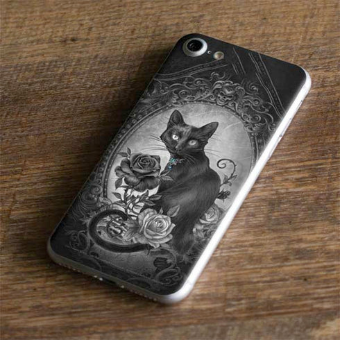 Alchemy Paracelsus - The Philosophers Familiar iPhone 8 Skin
