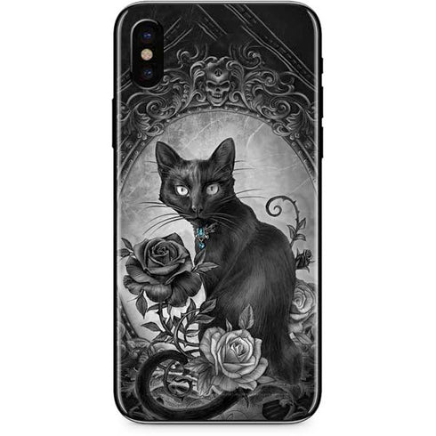 Alchemy Paracelsus - The Philosophers Familiar iPhone X Skin