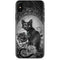Alchemy Paracelsus - The Philosophers Familiar iPhone X Skin