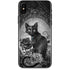 Alchemy Paracelsus - The Philosophers Familiar iPhone X Skin
