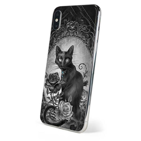 Alchemy Paracelsus - The Philosophers Familiar iPhone X Skin