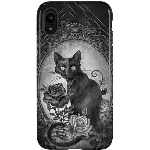 Alchemy Paracelsus - The Philosophers Familiar iPhone XR Pro Case