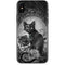 Alchemy Paracelsus - The Philosophers Familiar iPhone XS Max Skin