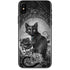 Alchemy Paracelsus - The Philosophers Familiar iPhone XS Max Skin